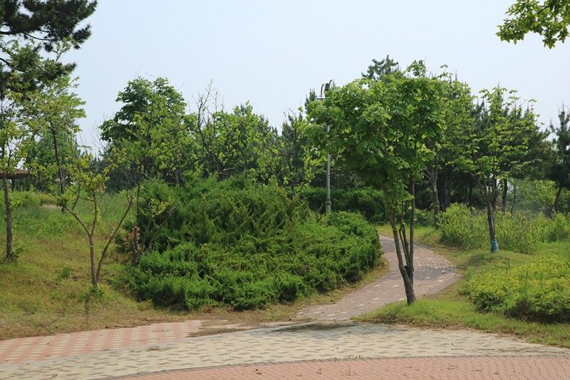 펜션 1분거리 소나무공원